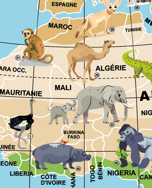 Caly Globes Games Mission animaux