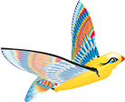 Tim Bird