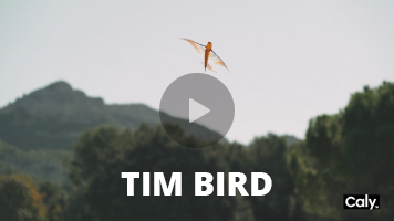 Caly Tim Bird video