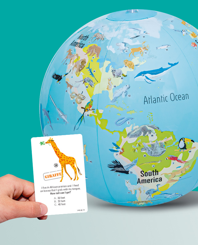 Caly Game™ - Stick'n Quiz -